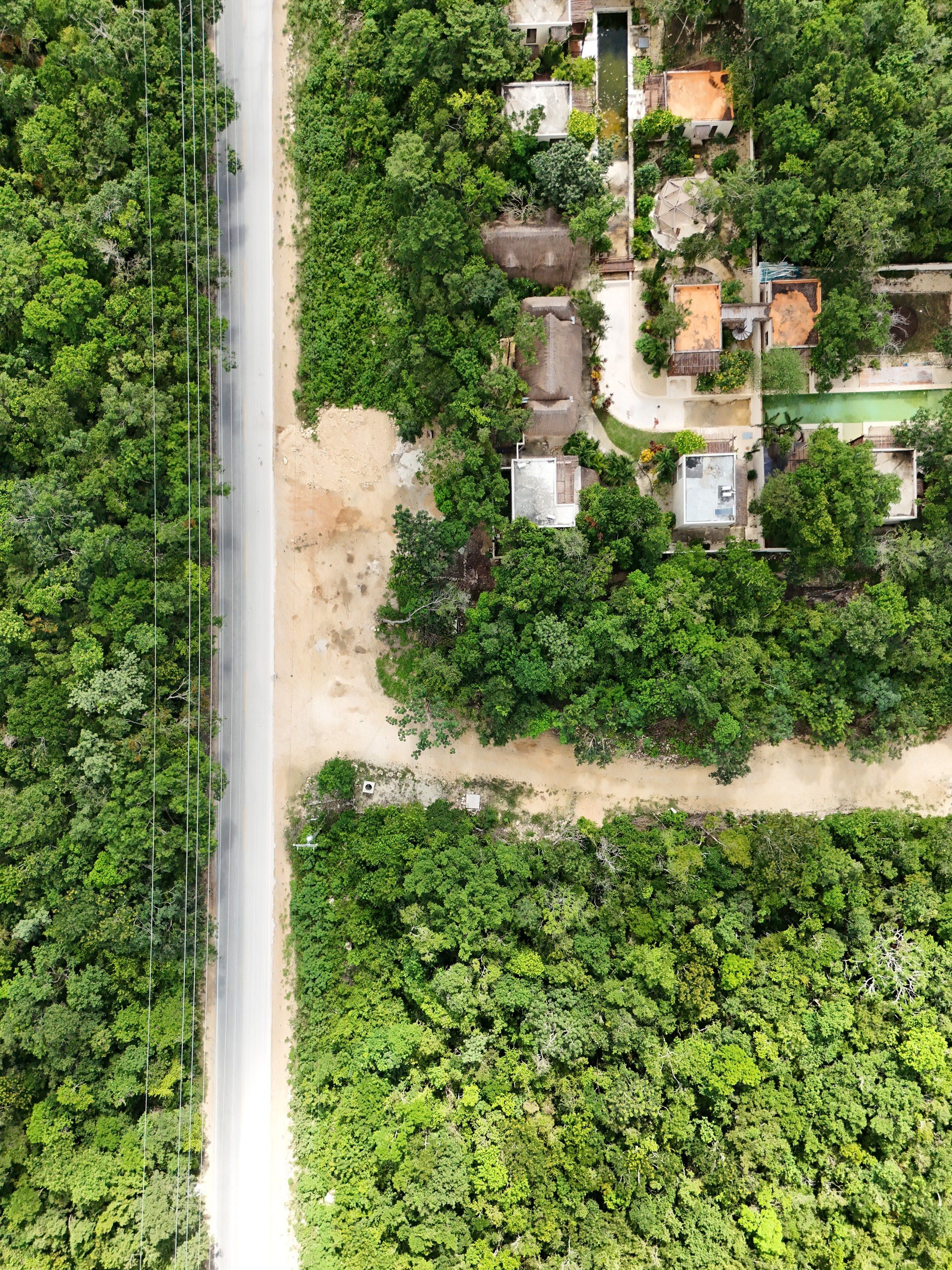 Overhead aerial photograph of finished houses with thatched roofs and a private pool among trees beside a paved road