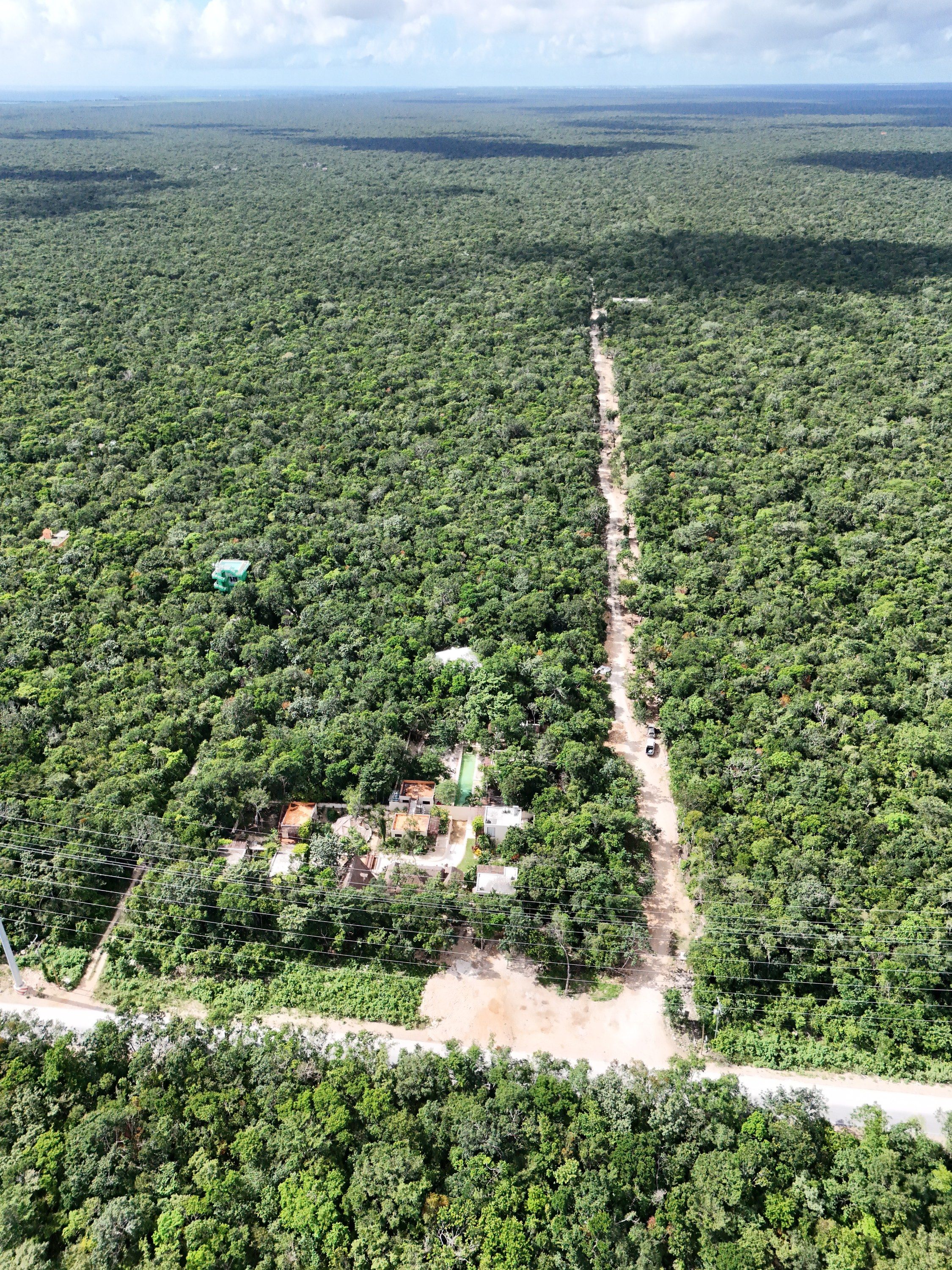 Aerial photograph of a single dirt track running from a paved road into unbroken jungle canopy