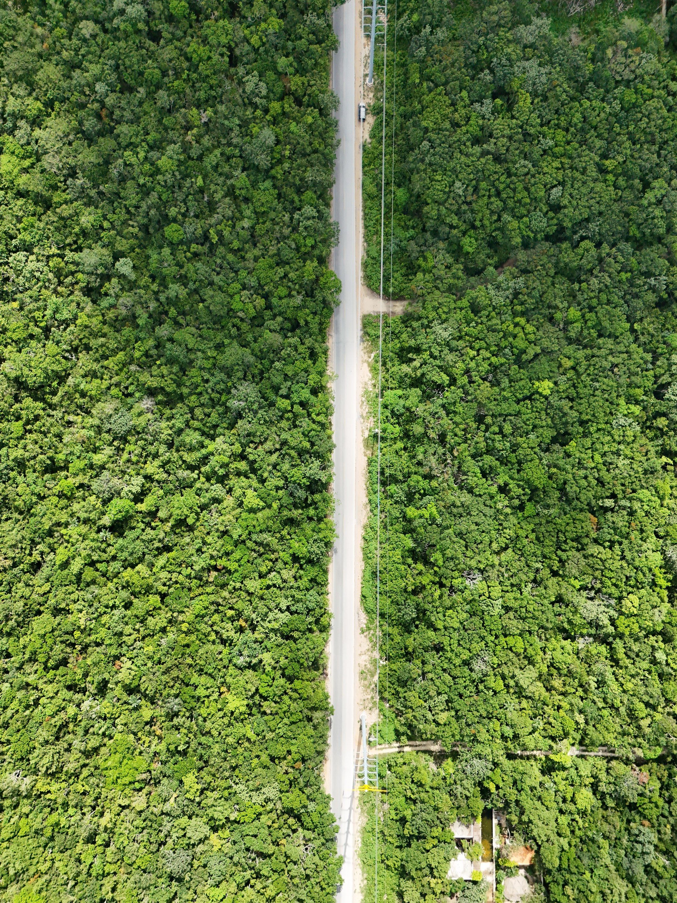 Overhead aerial photograph of the paved access road with a power line running alongside it through jungle