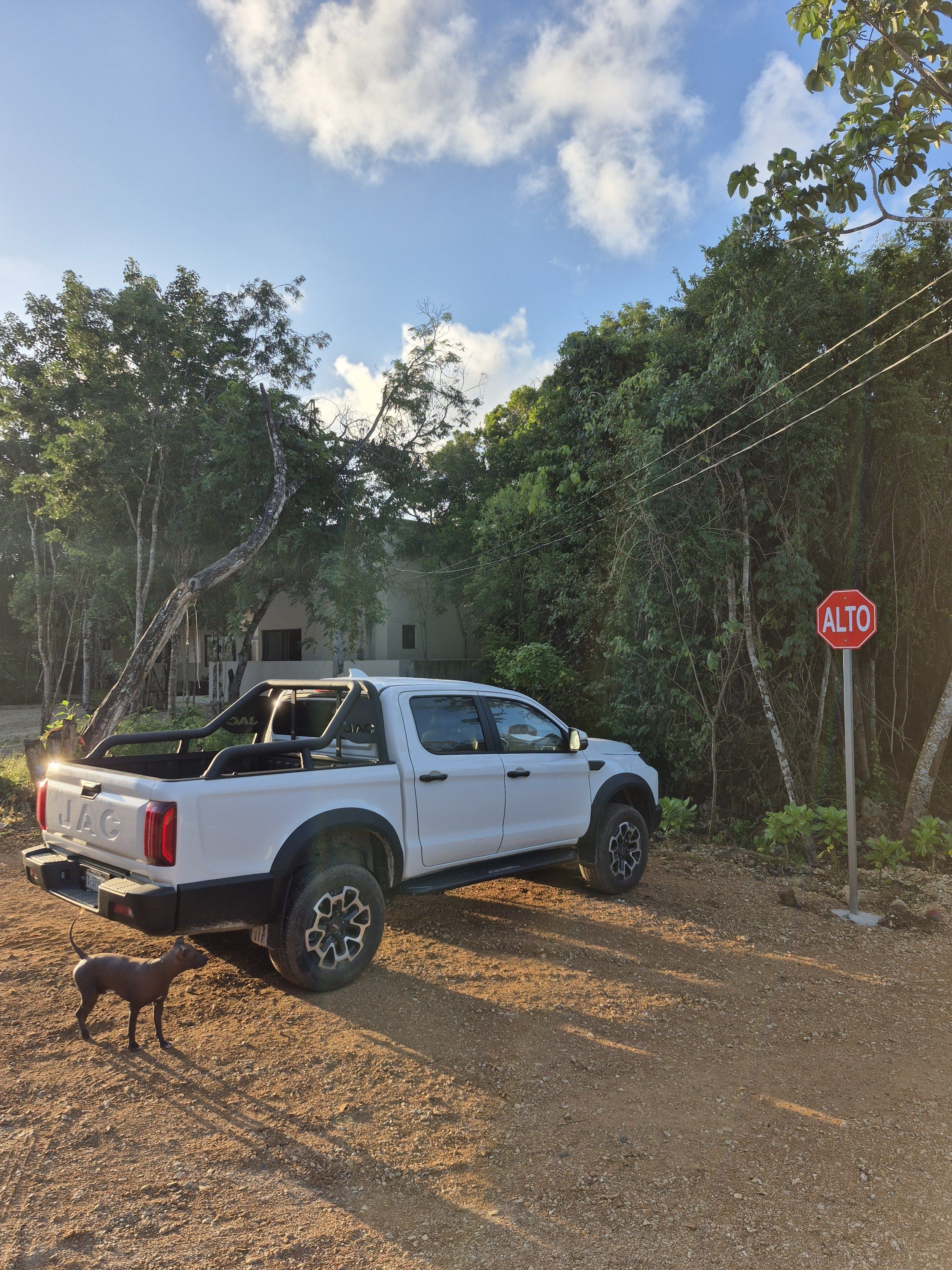 Ground photograph of a pickup truck on a white limestone road beside a stop sign, with a finished house behind the trees