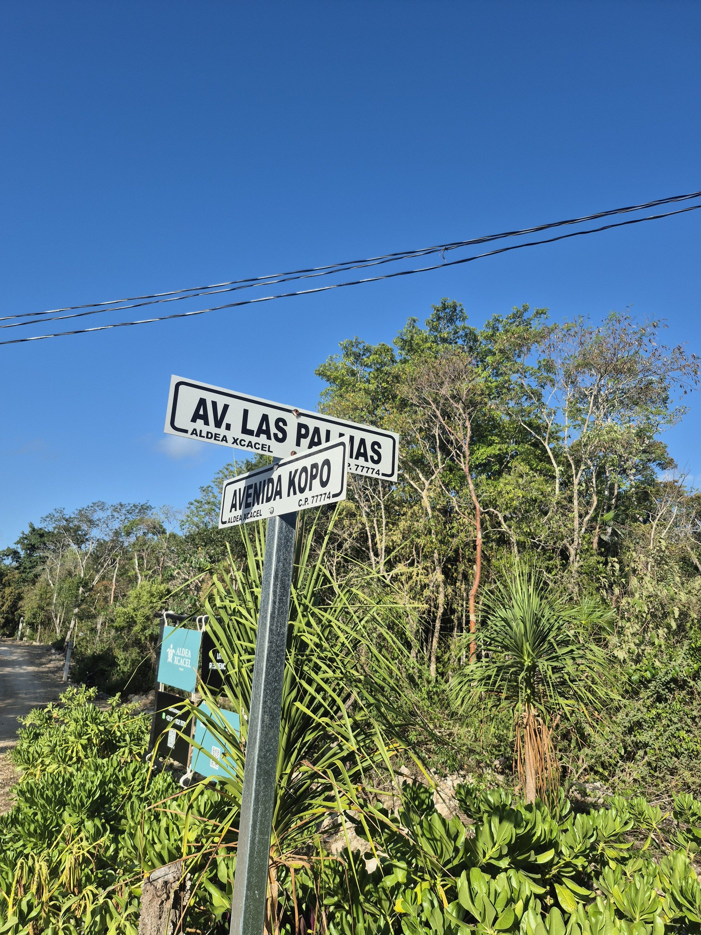 Ground photograph of a street sign post reading Av. Las Palmas and Avenida Kopo with jungle behind