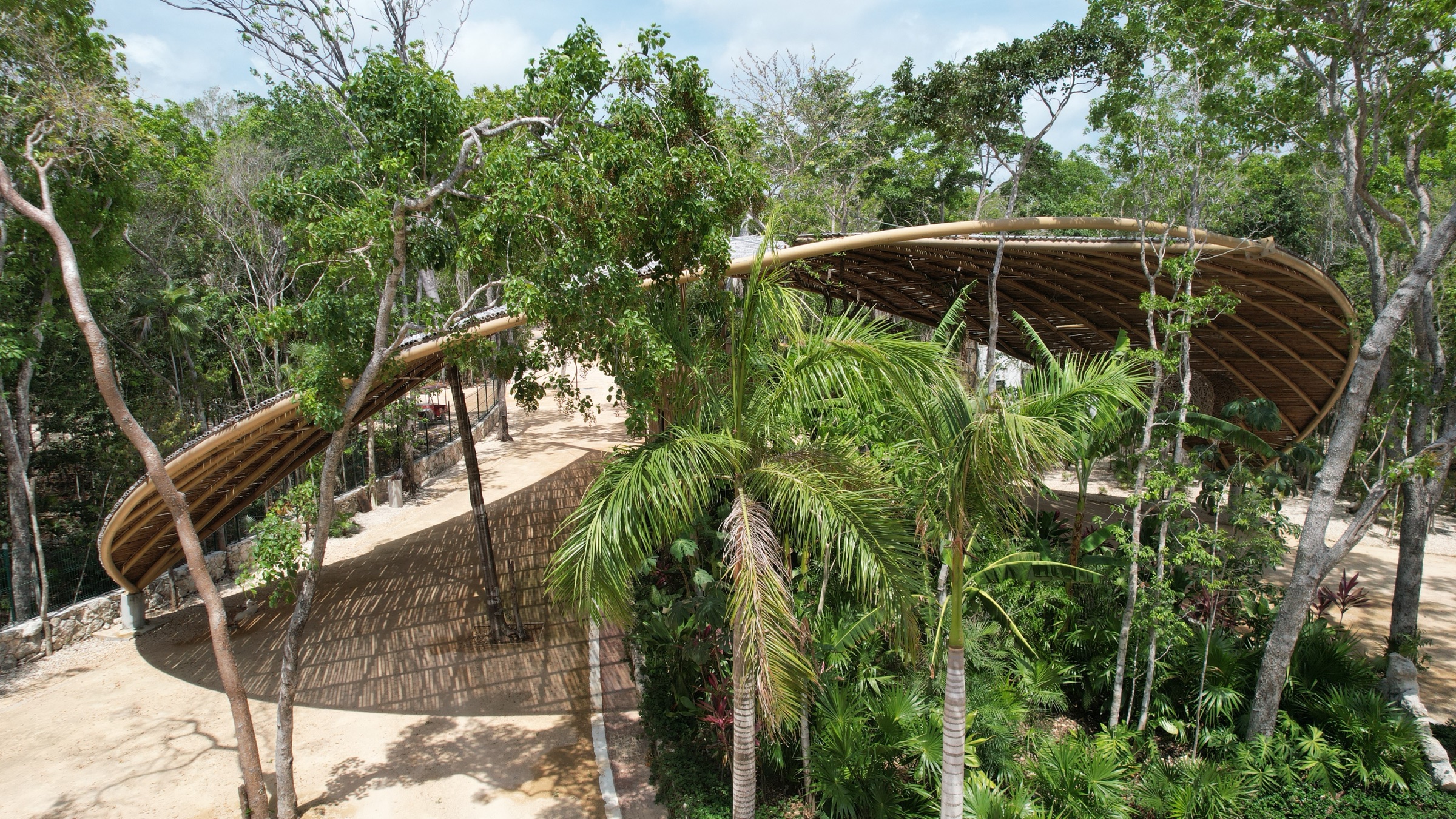 Elevated view of the bamboo pavilion roof and the jungle canopy at Axkaba