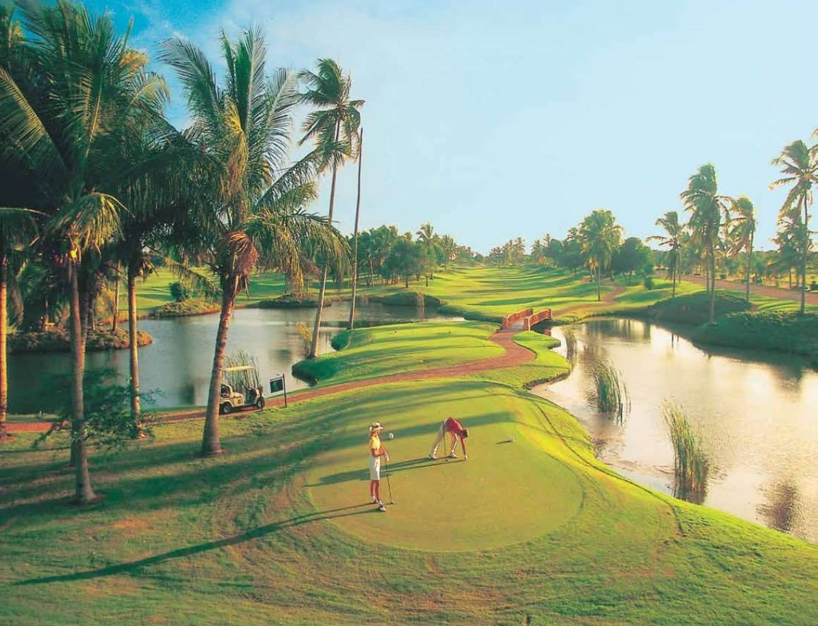 Fairway lined with palms beside a water hazard