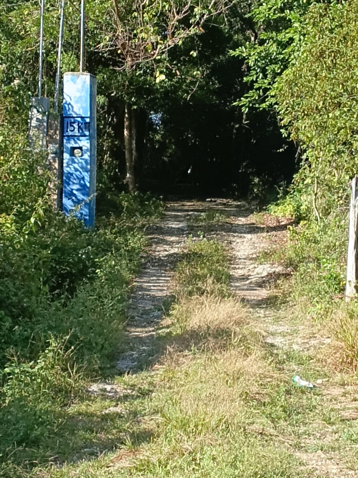 Photograph of the unpaved access track running past the fenced lot at Km 15 of the Cobá road, Macario Gómez, Tulum