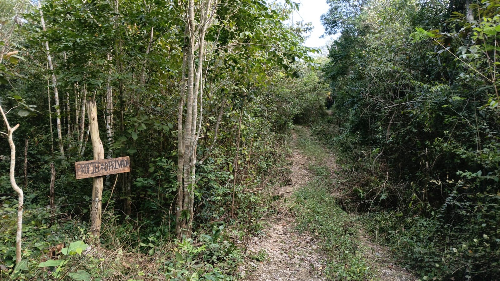 Photograph of the unpaved access track running past the fenced lot at Km 15 of the Cobá road, Macario Gómez, Tulum
