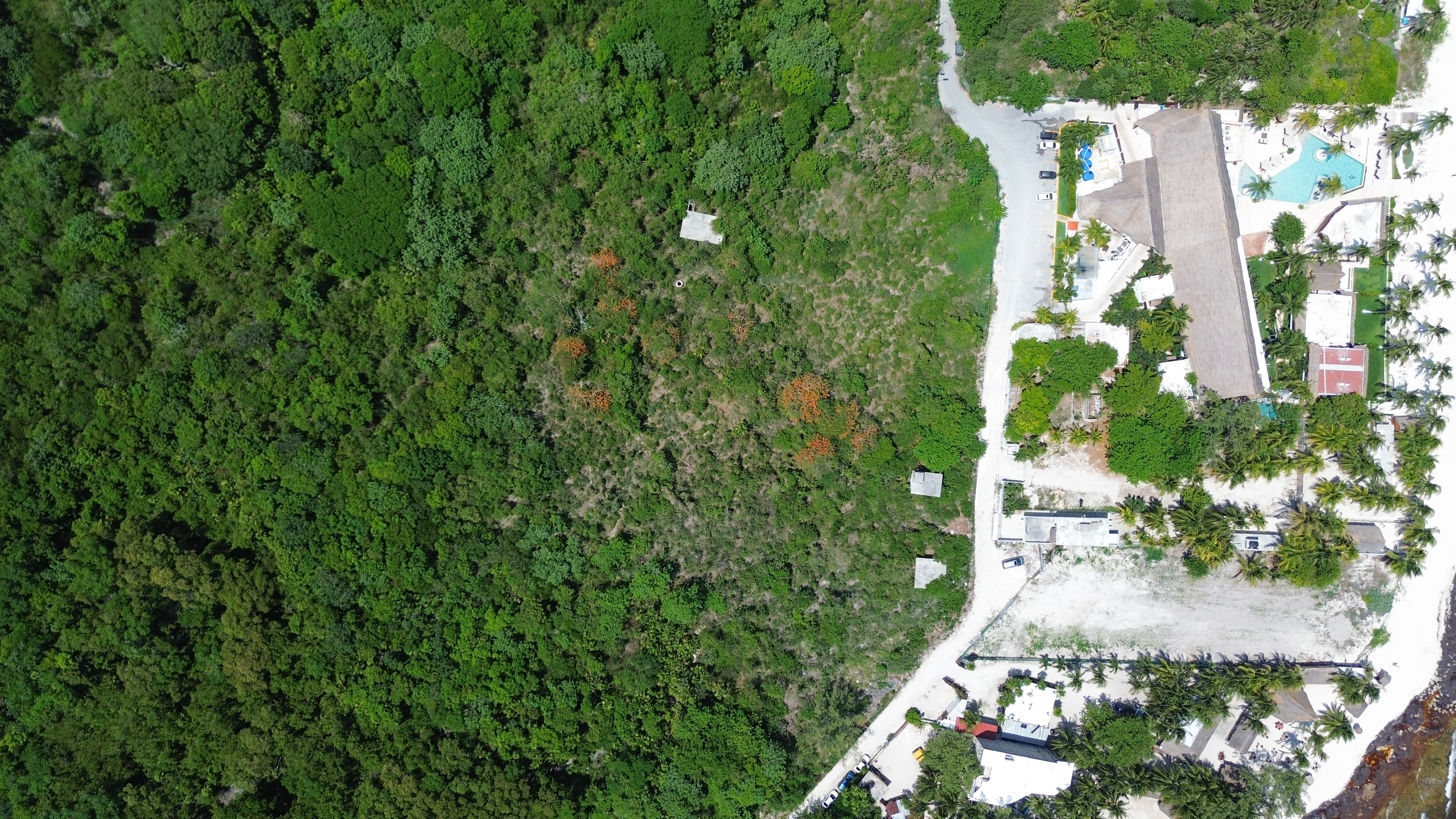 The bare lot, 15-Jul-2025
