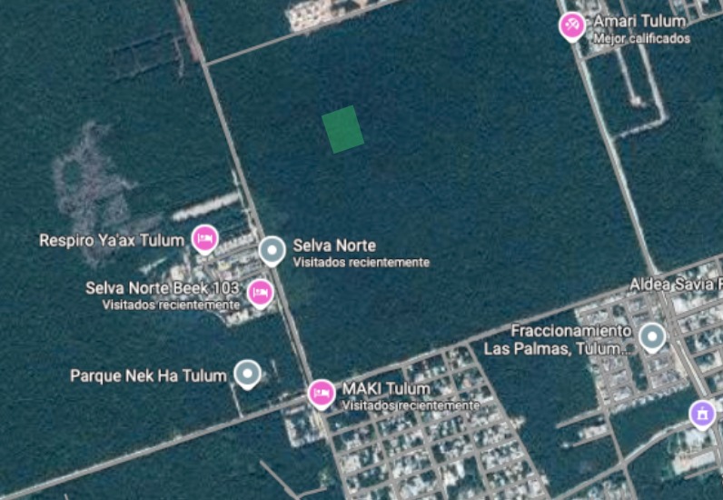 Satellite view of Lote 13 and Lote 14 (highlighted) inside the Región 10 / Selva Norte corridor, with neighboring developments labeled