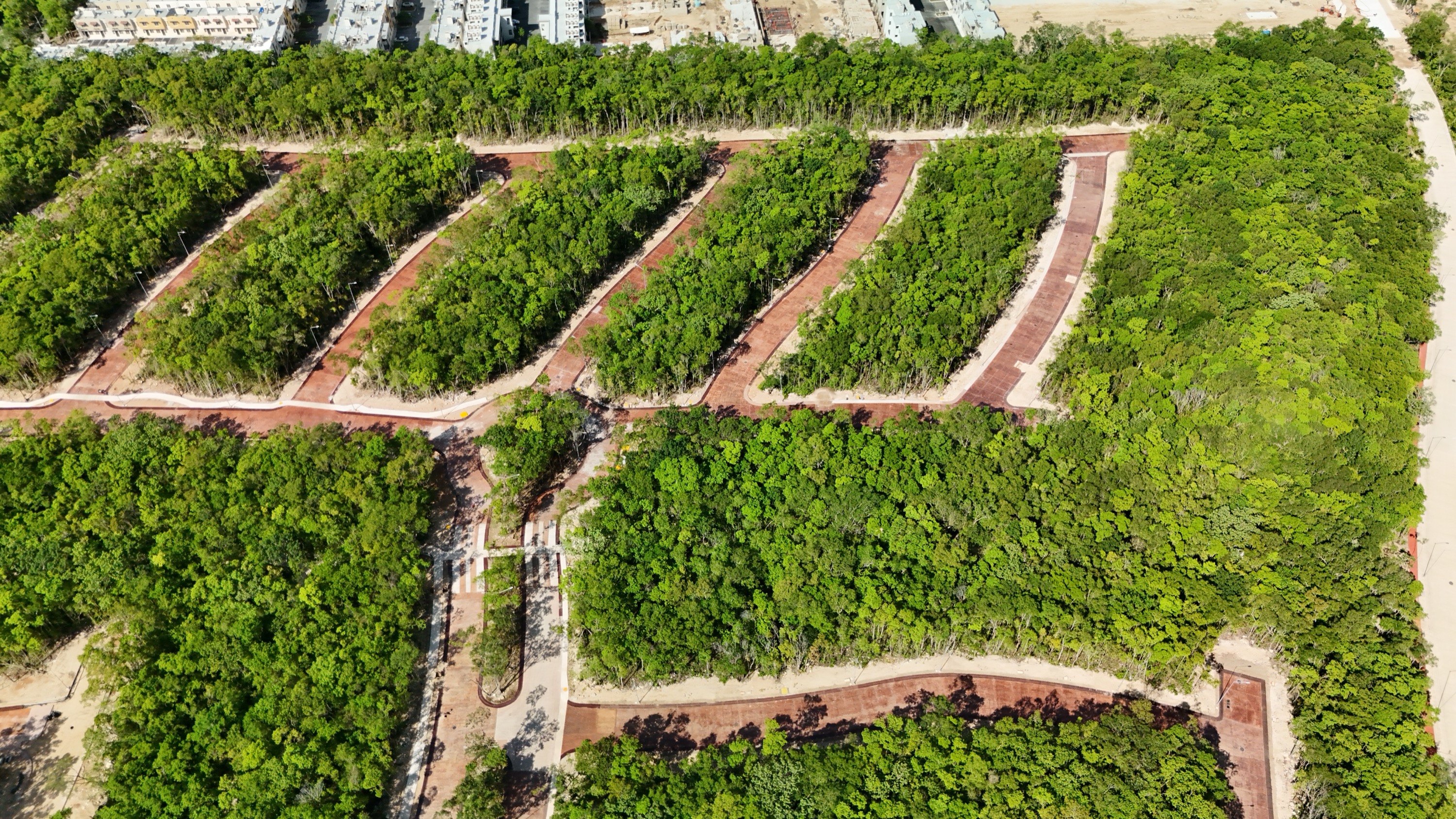 Aerial photograph of paved streets and sidewalks cut between blocks of standing jungle at Senderos, Ciudad Mayakoba