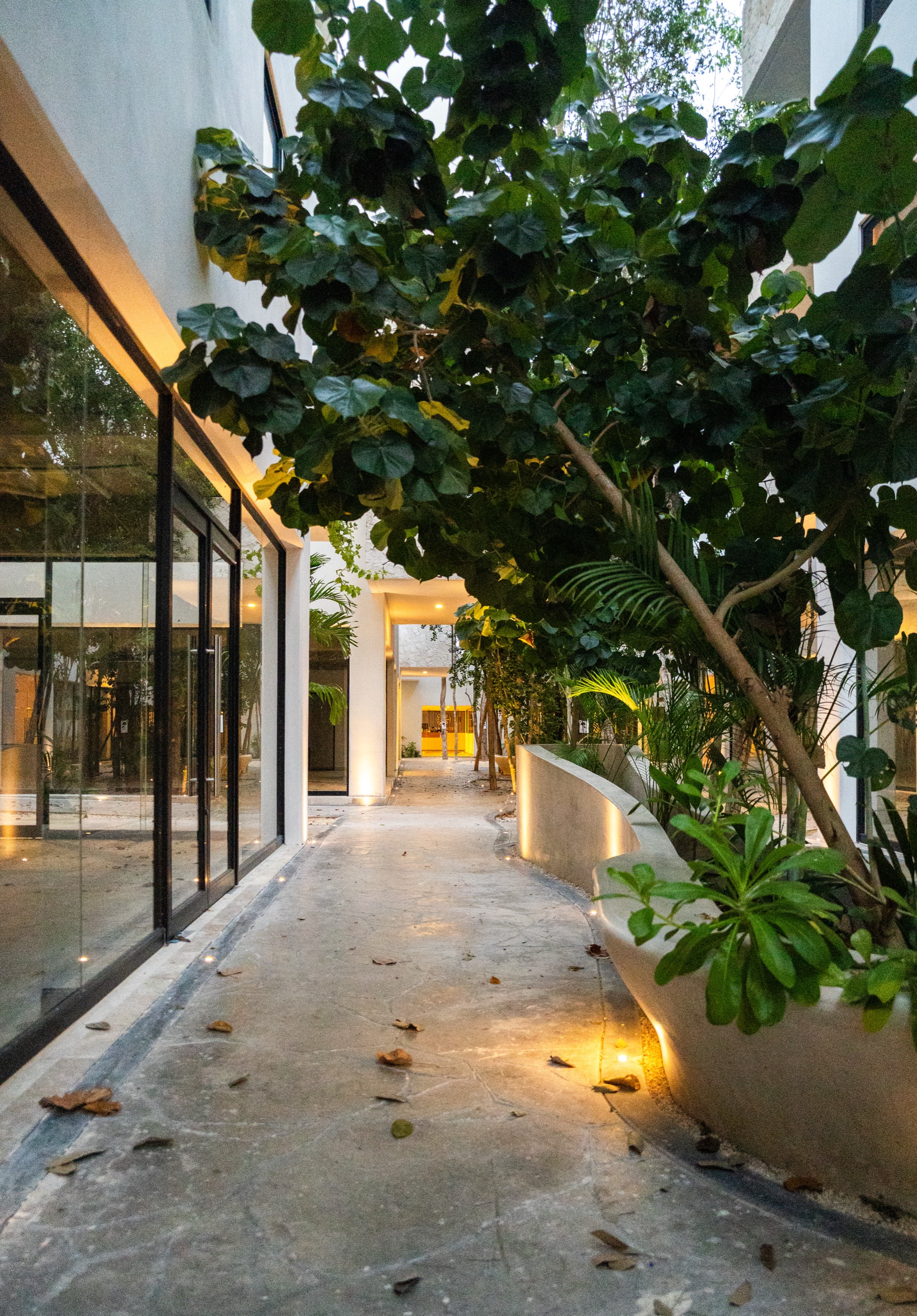 Ground-floor commercial corridor with glazed units and preserved trees