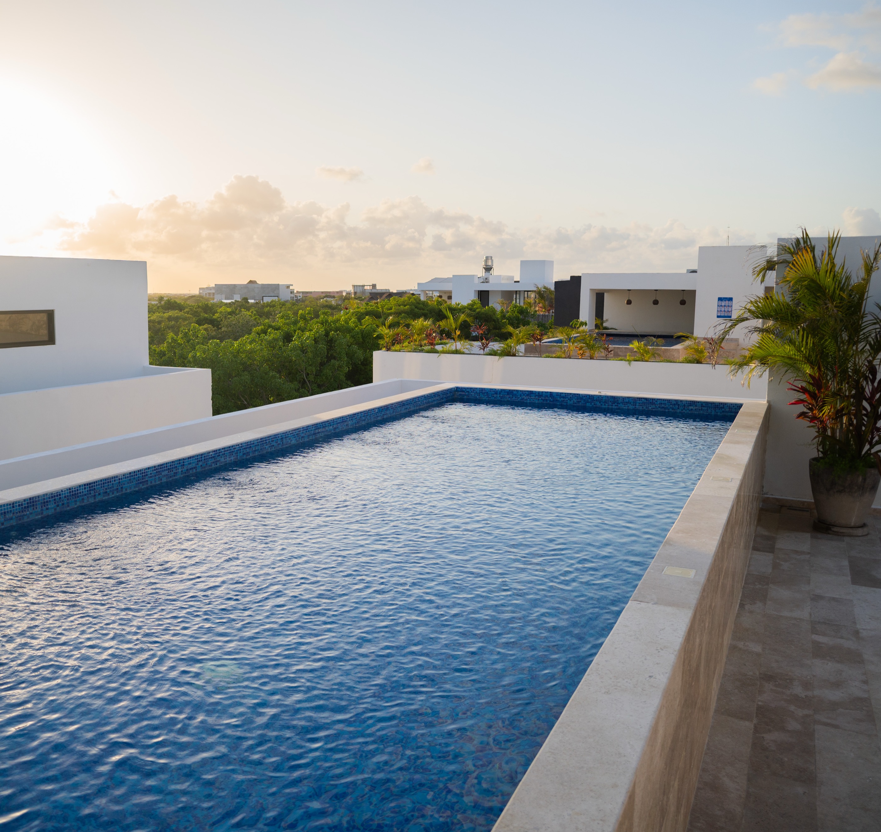 Rooftop lap pool at sunset over the Tulum jungle canopy
