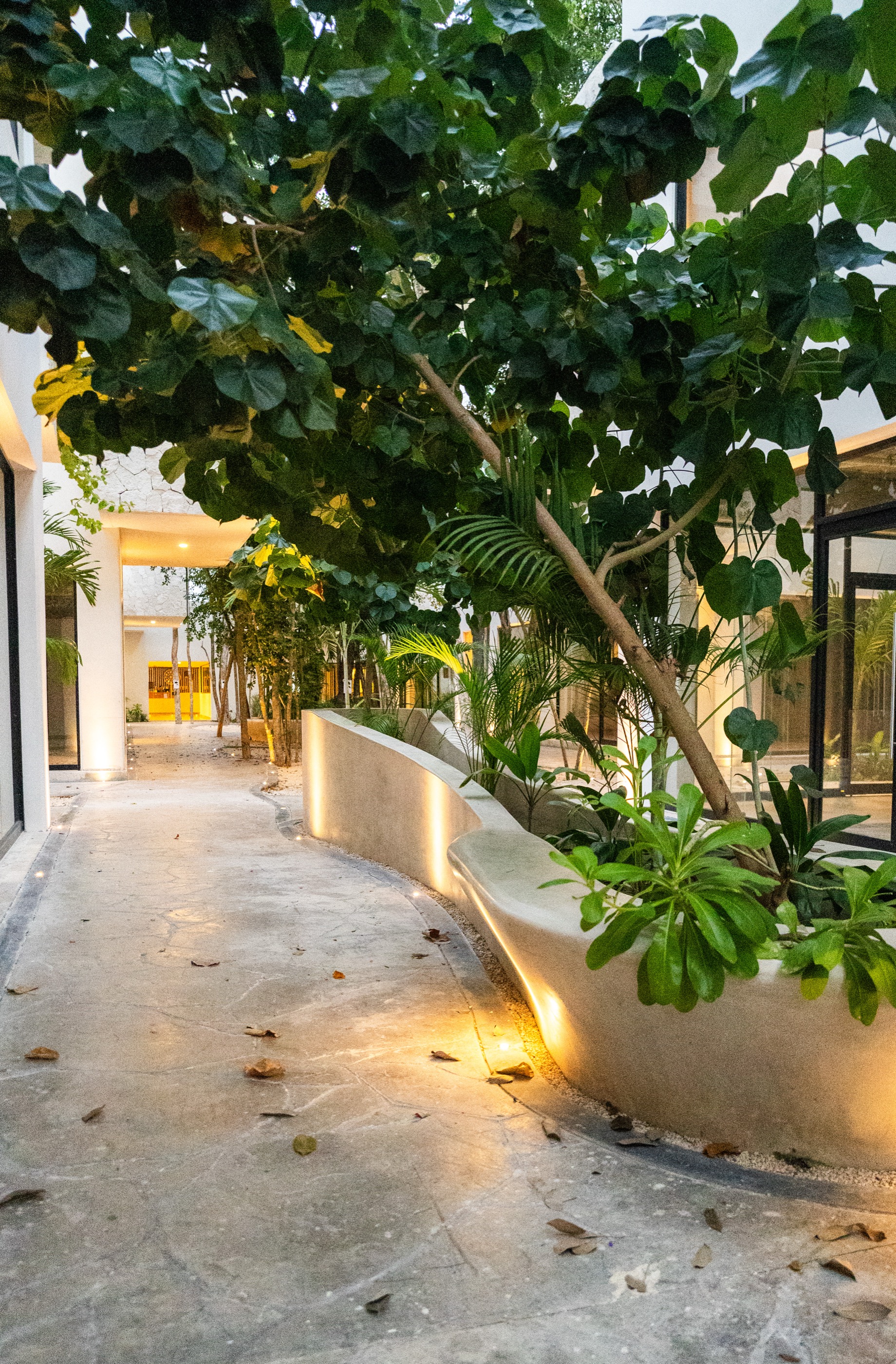 Tree-lined lit corridor between the buildings of Town Center Zamá, Aldea Zamá, Tulum