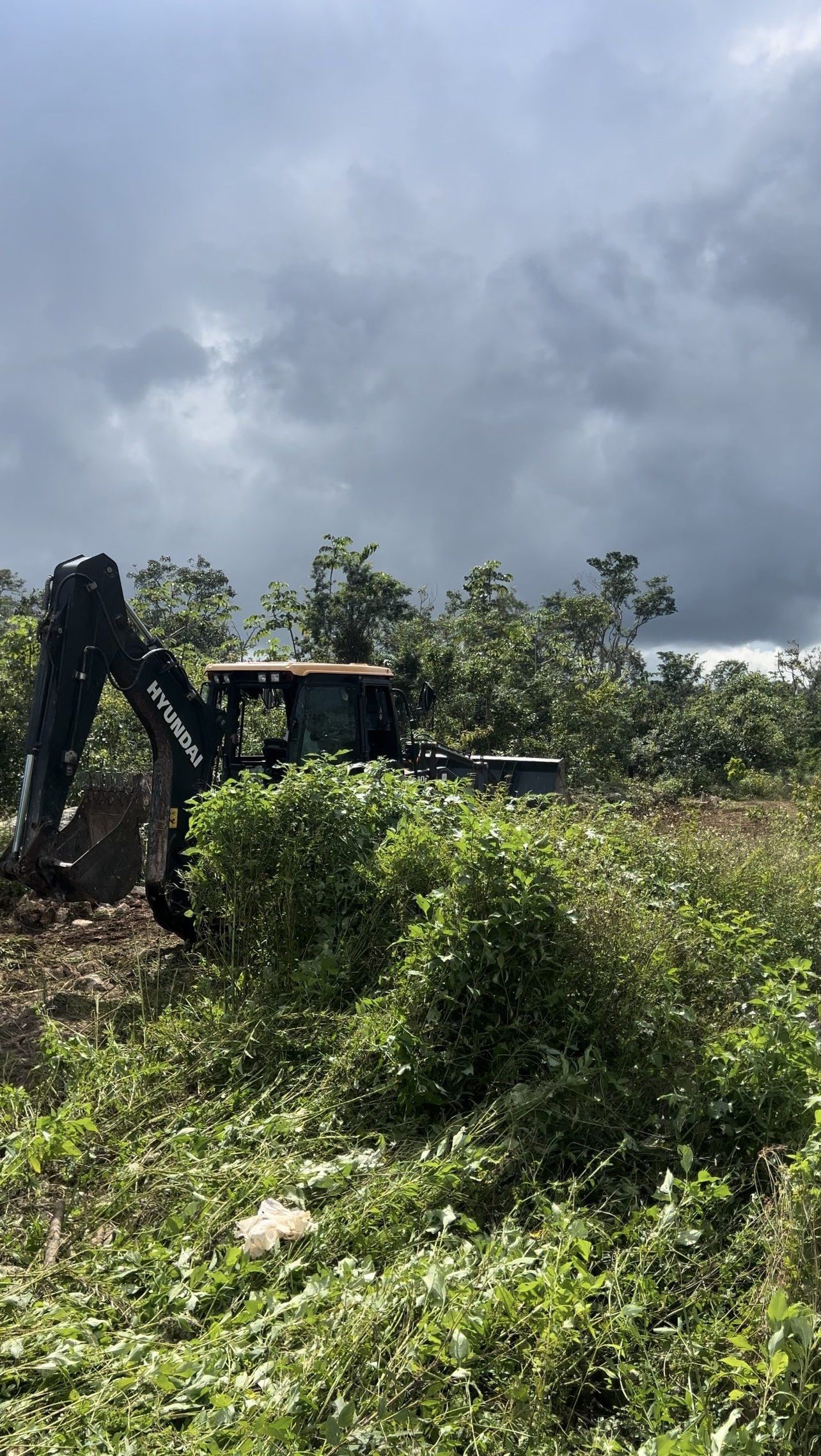 Storm clouds gathering over jungle at the Trébola Tulum site