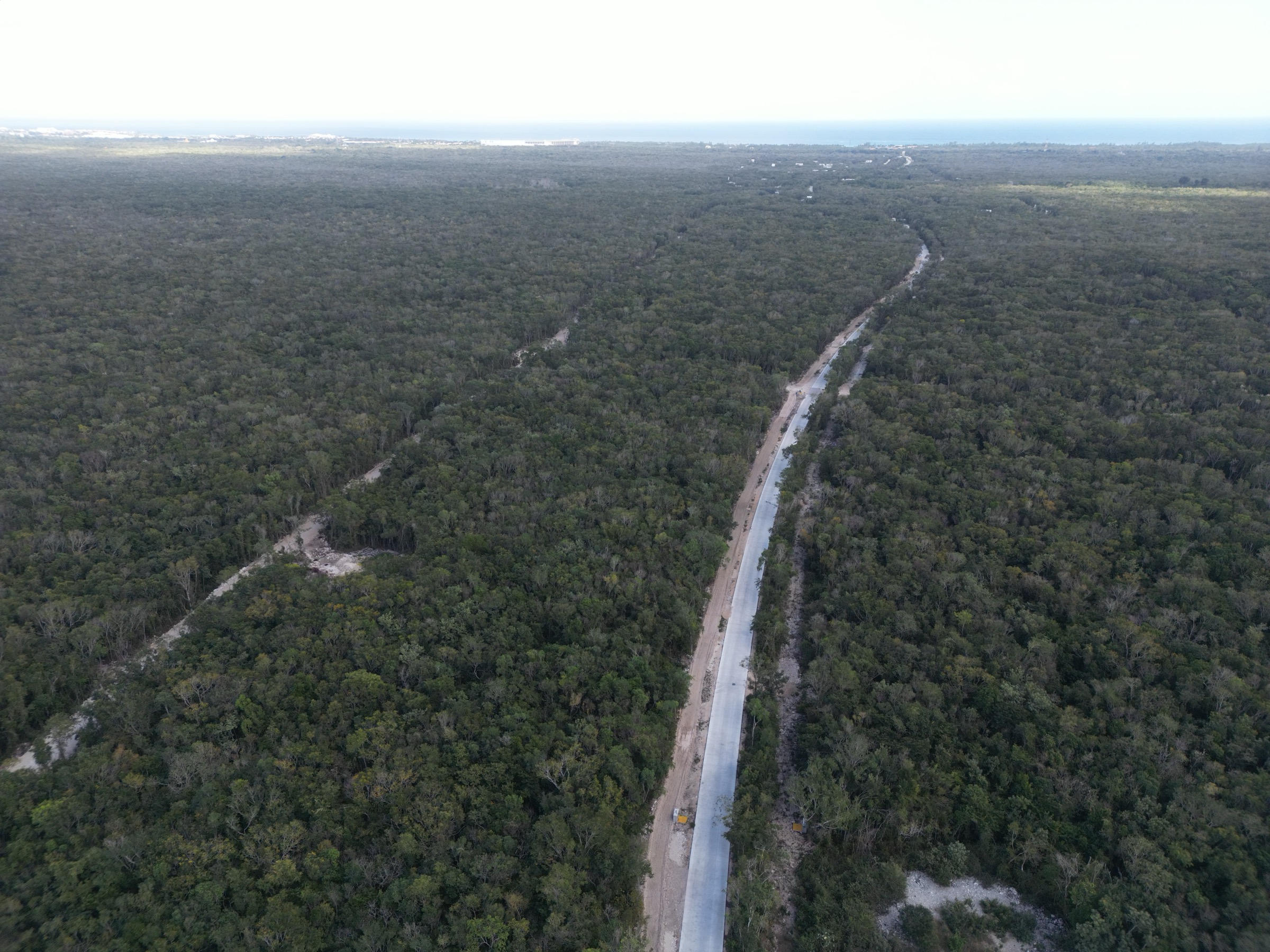 Aerial photograph of the paved trunk road cutting through dense jungle