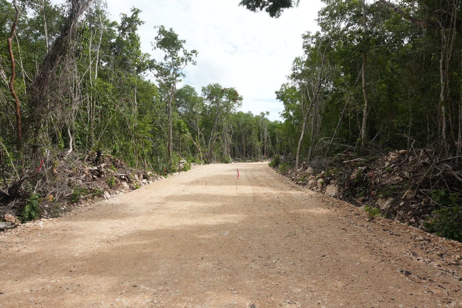 Ground-level photograph of a freshly graded gravel road cut through jungle, not yet paved