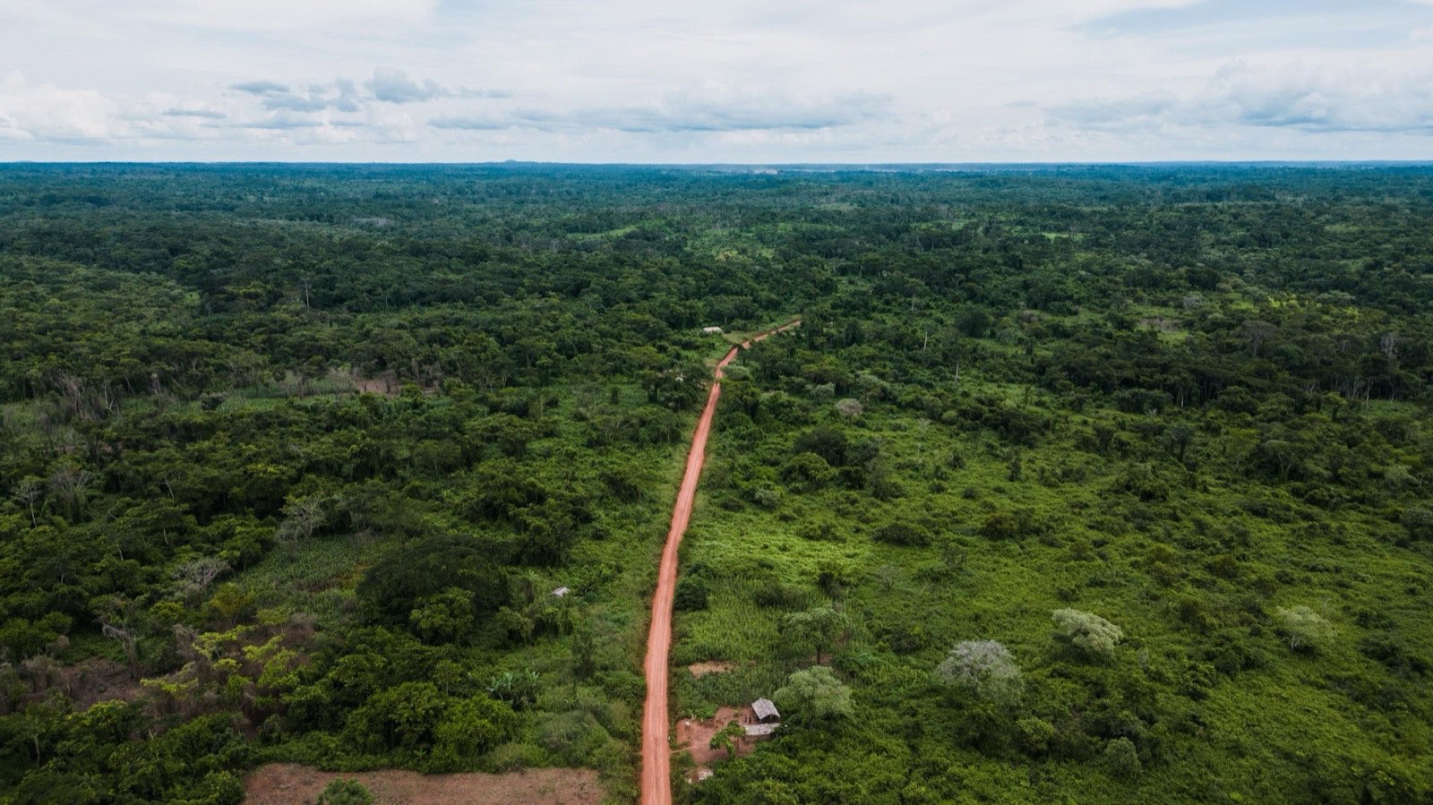 Aerial view of a dirt road opening through raw green land