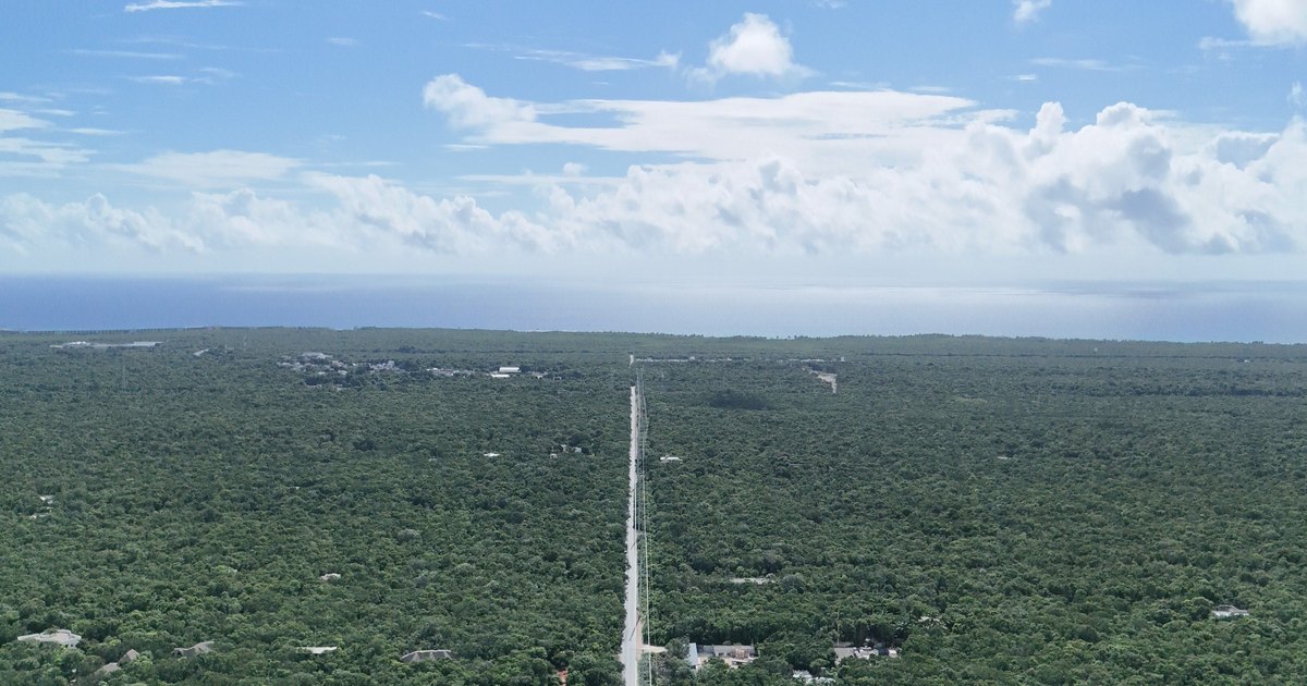 Aerial photograph of a limestone track cut straight through unbroken jungle canopy at Aldea Xcacel, near Chemuyil, Quintana Roo