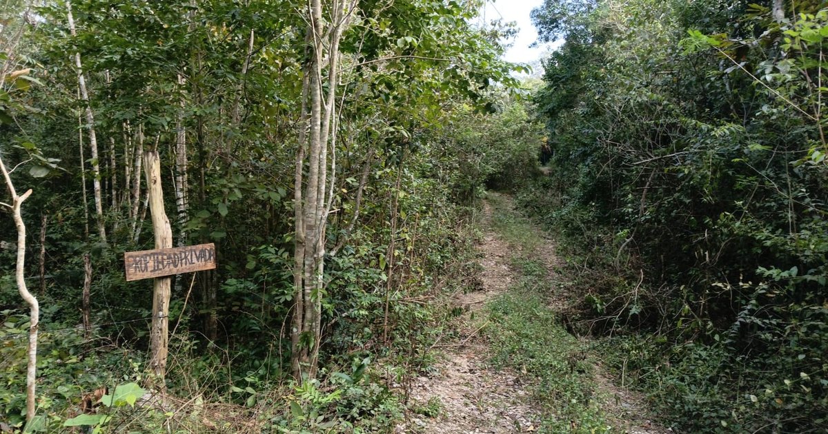 Photograph of the unpaved access track running past the fenced lot at Km 15 of the Cobá road, Macario Gómez, Tulum