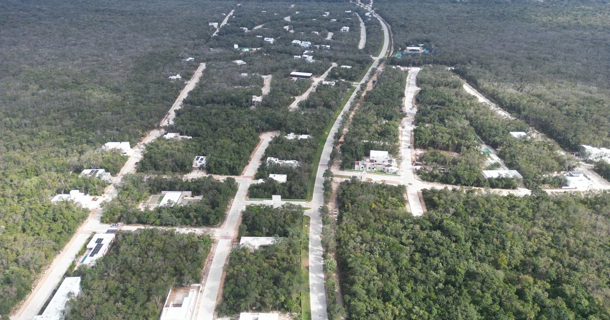 Aerial photograph of the access road running through dense jungle toward the coast at Xpuha Beach Residential Resort